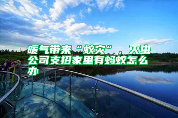 暖氣帶來“蟻災(zāi)”，滅蟲公司支招家里有螞蟻怎么辦