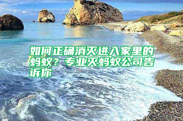 如何正確消滅進(jìn)入家里的螞蟻？專業(yè)滅螞蟻公司告訴你