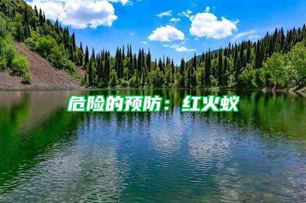 危險的預(yù)防：紅火蟻