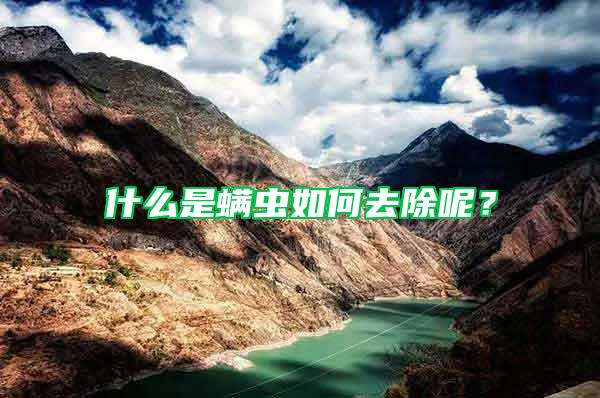 什么是螨蟲如何去除呢？
