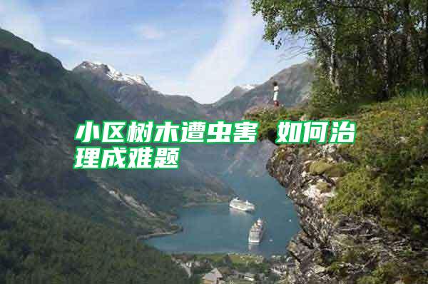 小區(qū)樹(shù)木遭蟲(chóng)害 如何治理成難題