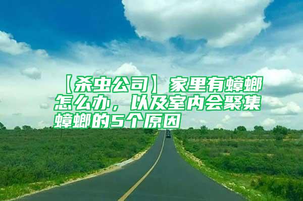 【殺蟲公司】家里有蟑螂怎么辦，以及室內(nèi)會聚集蟑螂的5個原因