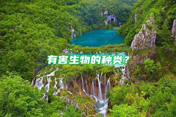 有害生物的種類？