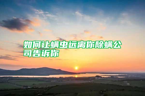 如何讓螨蟲遠(yuǎn)離你除螨公司告訴你