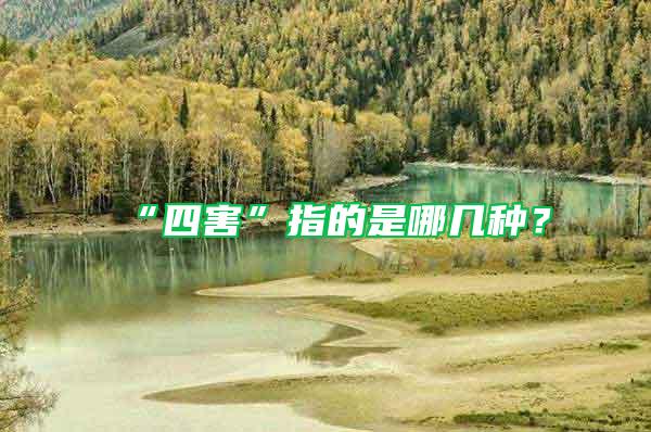 “四害”指的是哪幾種？