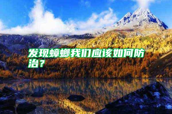 發(fā)現(xiàn)蟑螂我們應(yīng)該如何防治？