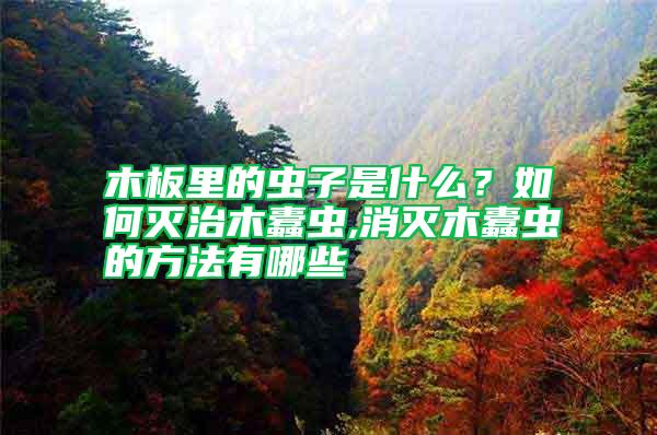 木板里的蟲子是什么？如何滅治木蠹蟲,消滅木蠹蟲的方法有哪些