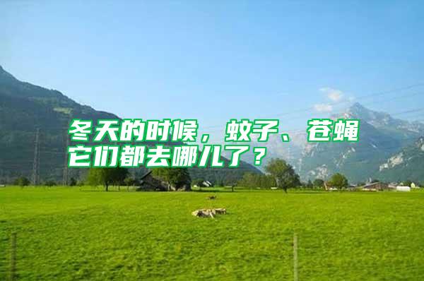 冬天的時(shí)候，蚊子、蒼蠅它們都去哪兒了？