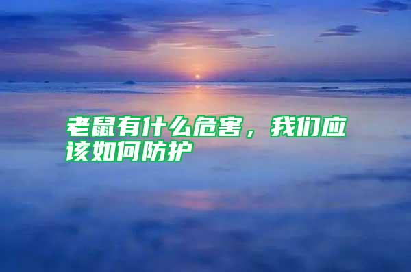 老鼠有什么危害，我們應(yīng)該如何防護(hù)