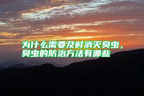 為什么需要及時消滅臭蟲，臭蟲的防治方法有哪些