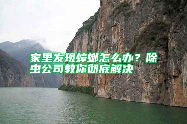 家里發(fā)現(xiàn)蟑螂怎么辦？除蟲公司教你徹底解決