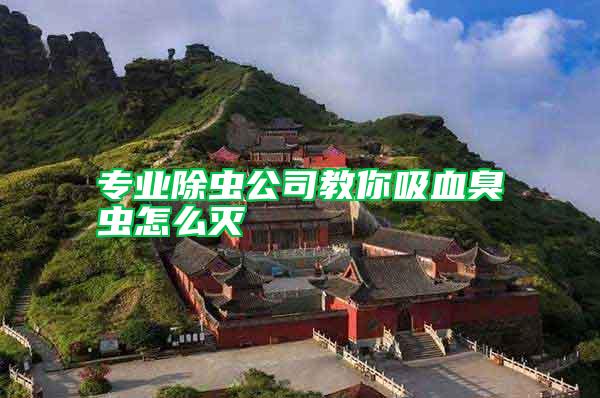 專業(yè)除蟲(chóng)公司教你吸血臭蟲(chóng)怎么滅