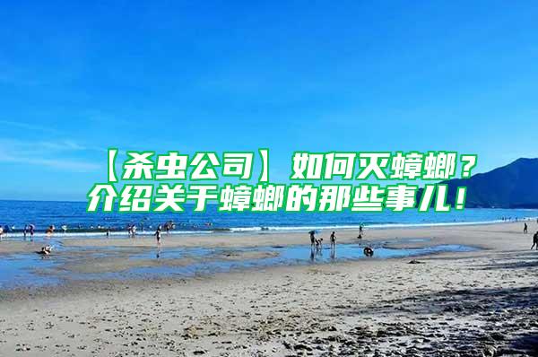 【殺蟲公司】如何滅蟑螂？介紹關(guān)于蟑螂的那些事兒！