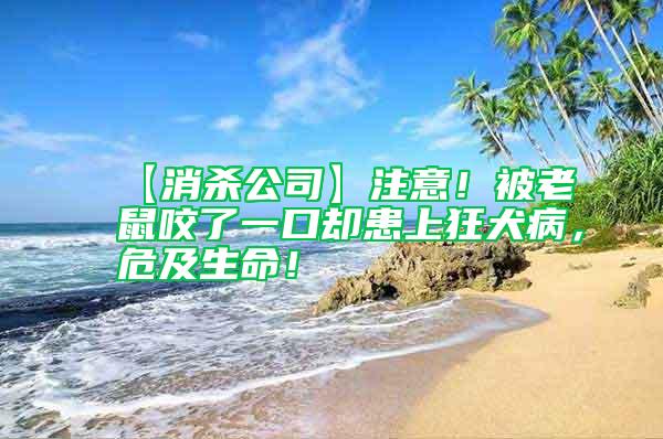 【消殺公司】注意！被老鼠咬了一口卻患上狂犬病，危及生命！
