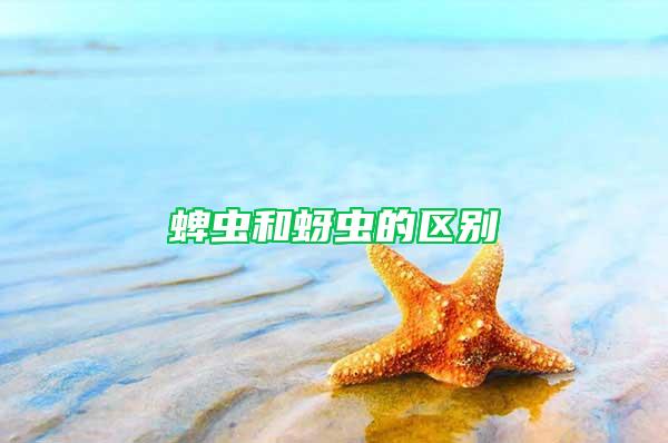 蜱蟲(chóng)和蚜蟲(chóng)的區(qū)別