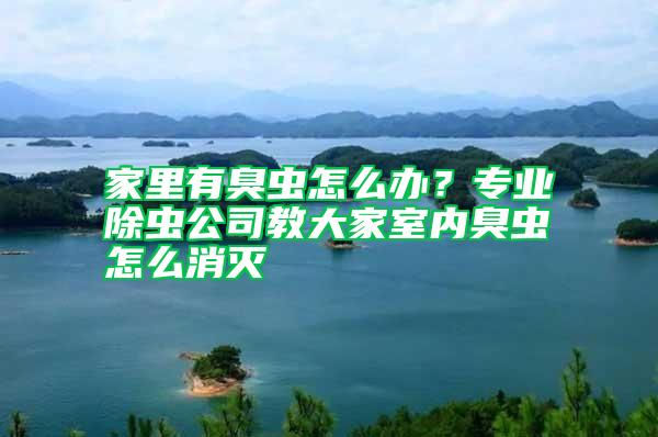 家里有臭蟲(chóng)怎么辦？專(zhuān)業(yè)除蟲(chóng)公司教大家室內(nèi)臭蟲(chóng)怎么消滅