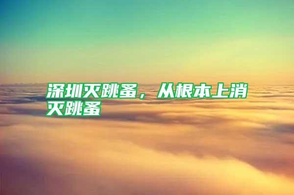 深圳滅跳蚤，從根本上消滅跳蚤