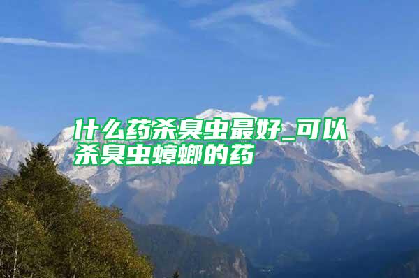 什么藥殺臭蟲(chóng)最好_可以殺臭蟲(chóng)蟑螂的藥