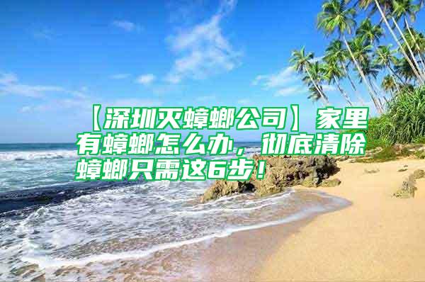 【深圳滅蟑螂公司】家里有蟑螂怎么辦，徹底清除蟑螂只需這6步！
