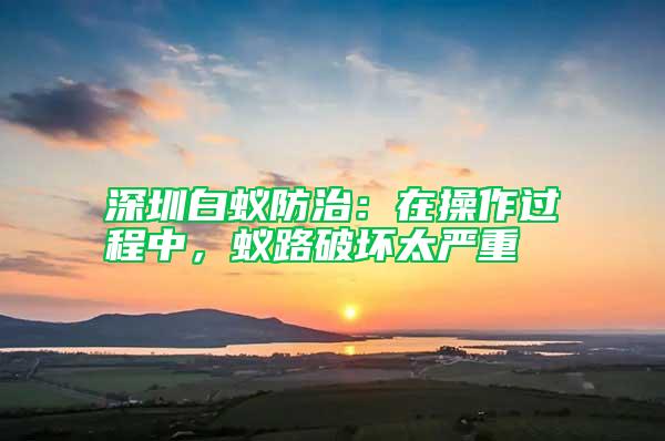 深圳白蟻防治：在操作過程中，蟻路破壞太嚴(yán)重
