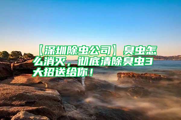 【深圳除蟲公司】臭蟲怎么消滅，徹底清除臭蟲3大招送給你！