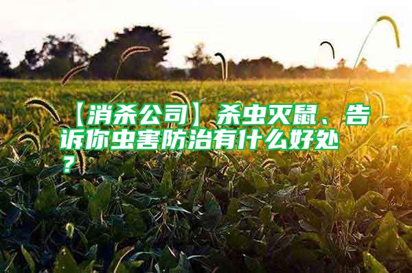 【消殺公司】殺蟲滅鼠、告訴你蟲害防治有什么好處？