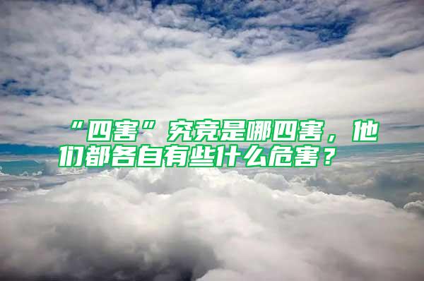 “四害”究競是哪四害，他們都各自有些什么危害？