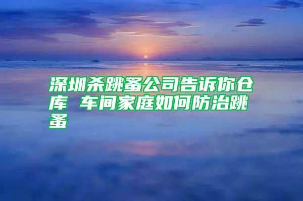 深圳殺跳蚤公司告訴你倉(cāng)庫(kù) 車間家庭如何防治跳蚤