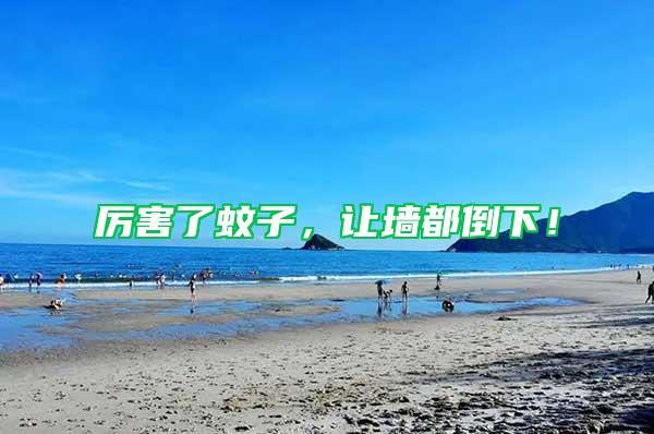 厲害了蚊子，讓墻都倒下！