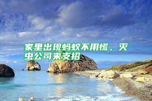 家里出現(xiàn)螞蟻不用慌，滅蟲公司來支招