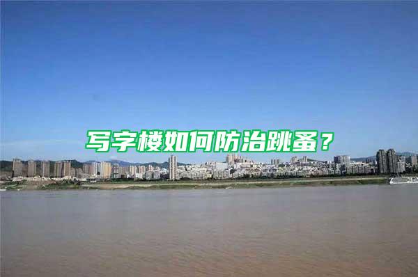 寫字樓如何防治跳蚤？