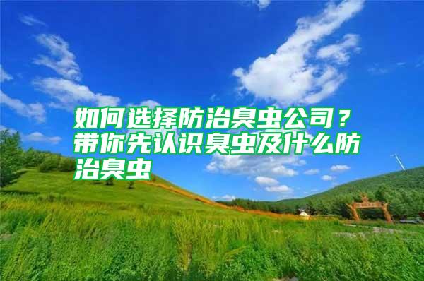 如何選擇防治臭蟲公司？帶你先認(rèn)識臭蟲及什么防治臭蟲