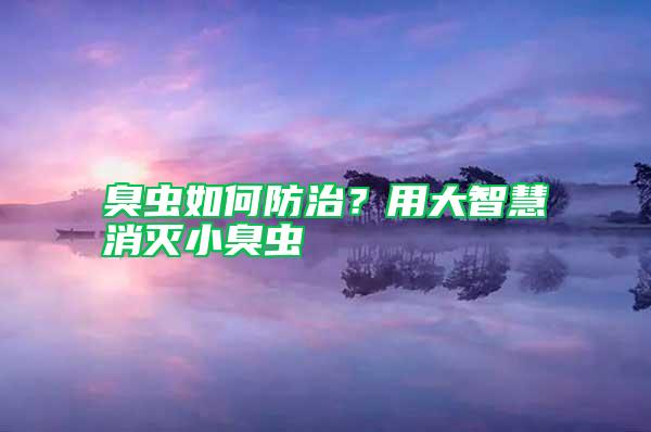 臭蟲如何防治？用大智慧消滅小臭蟲