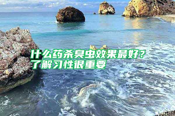 什么藥殺臭蟲效果最好？了解習(xí)性很重要