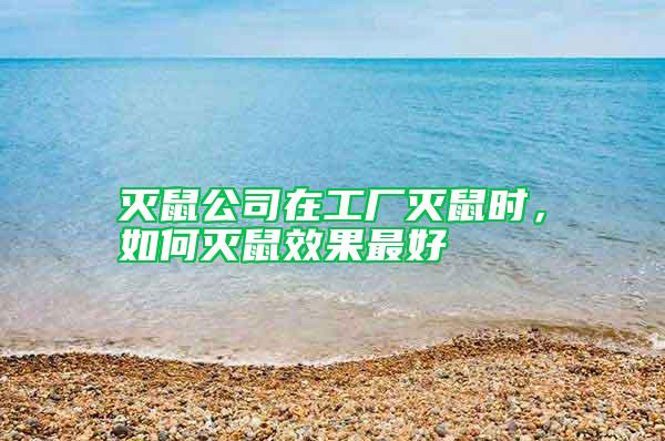 滅鼠公司在工廠滅鼠時，如何滅鼠效果最好