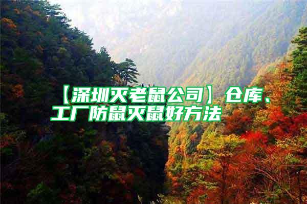 【深圳滅老鼠公司】倉庫、工廠防鼠滅鼠好方法