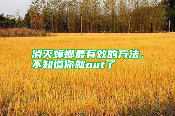 消滅蟑螂最有效的方法，不知道你就out了