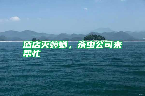 酒店滅蟑螂，殺蟲公司來幫忙