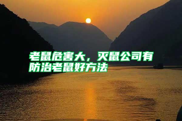 老鼠危害大，滅鼠公司有防治老鼠好方法