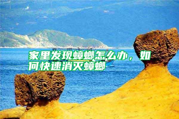 家里發(fā)現(xiàn)蟑螂怎么辦，如何快速消滅蟑螂