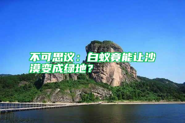 不可思議：白蟻竟能讓沙漠變成綠地？