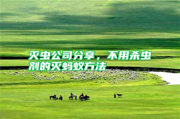 滅蟲公司分享，不用殺蟲劑的滅螞蟻方法
