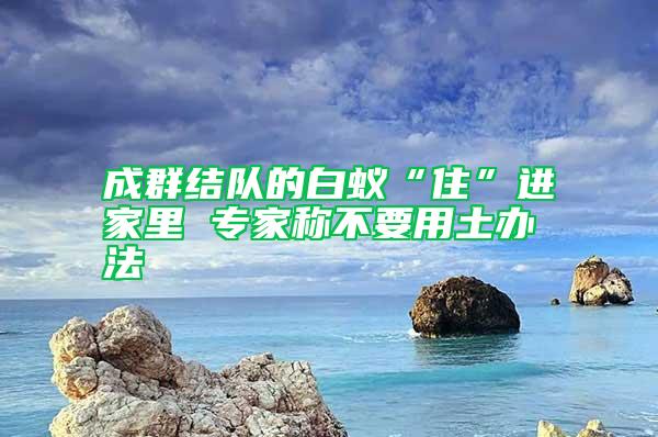 成群結(jié)隊的白蟻“住”進家里 專家稱不要用土辦法