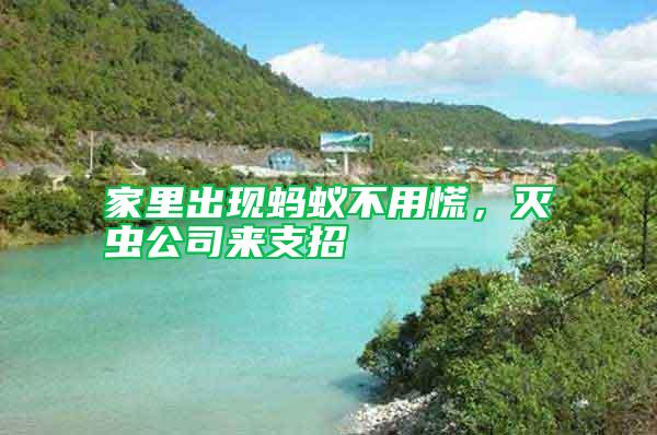 家里出現(xiàn)螞蟻不用慌，滅蟲公司來支招
