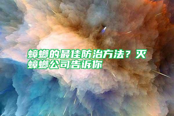 蟑螂的最佳防治方法？滅蟑螂公司告訴你