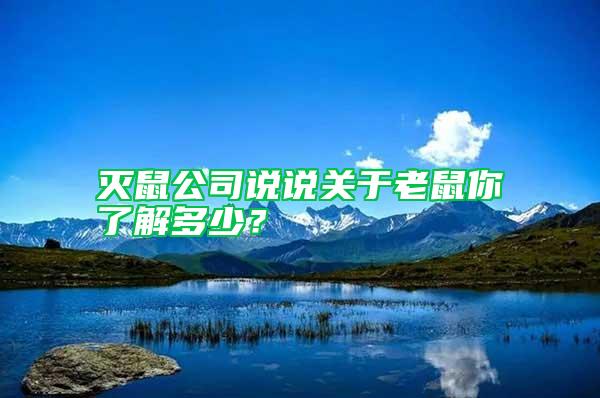 滅鼠公司說(shuō)說(shuō)關(guān)于老鼠你了解多少？