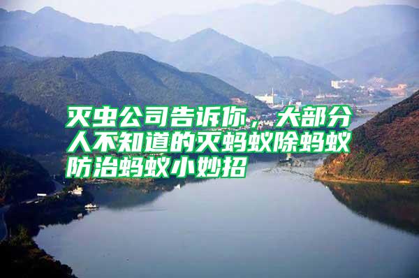 滅蟲公司告訴你，大部分人不知道的滅螞蟻除螞蟻防治螞蟻小妙招