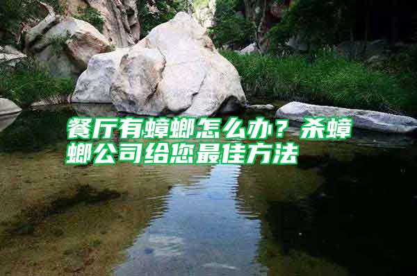 餐廳有蟑螂怎么辦？殺蟑螂公司給您最佳方法