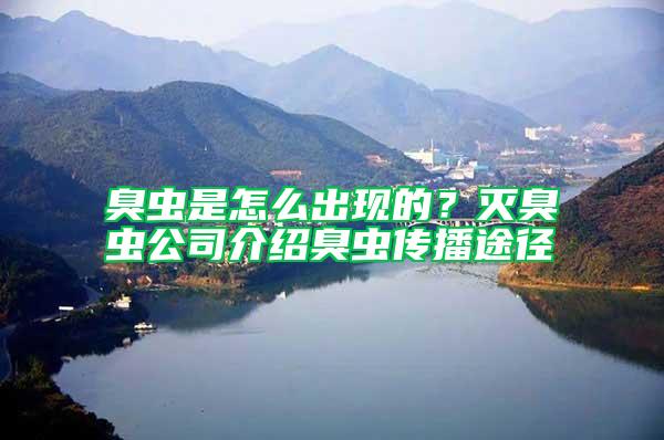 臭蟲是怎么出現(xiàn)的？滅臭蟲公司介紹臭蟲傳播途徑