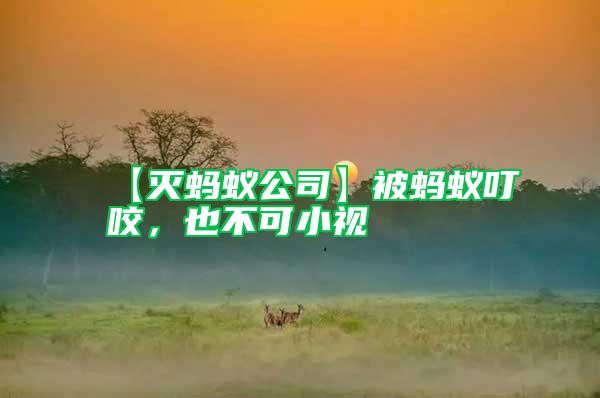 【滅螞蟻公司】被螞蟻叮咬，也不可小視